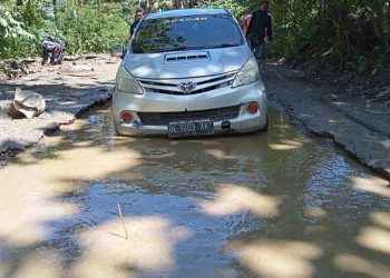 Jalan Lintas Huamual Terancam, Isu Pemotongan Anggaran Infrastruktur Jadi Sorotan