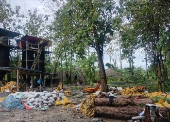 Wakil Ketua PD Pemuda Muhammadiyah Buru Desak Polres Hentikan Aktivitas Tambang Ilegal Gunung Botak