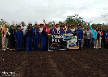 Mendukung Ekonomi Lokal, Siswa PKL SMKN 8 Buru Panen Jagung Bersama Kacabdin Buru Rahman Ali