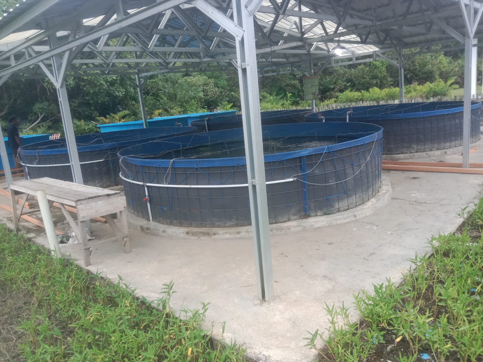 Jelang UKK Bulan April, SMKN 4 Buru Gelar Verifikasi TUK