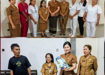 Kartini di Ruang Bayi: Ketua TP-PKK Sheren Amelinda Jauwerissa Bawa Kasih untuk Ibu dan Anak Tanimbar
