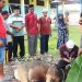 Tanamkan Semangat Berbagi.SMAN 2 Buru Sembelih 4 Sapi Kurban