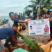 Turaya Samal Kawal Gerakan Sosial Yayasan Indah: Distribusi Qurban Menjangkau Pelosok Maluku