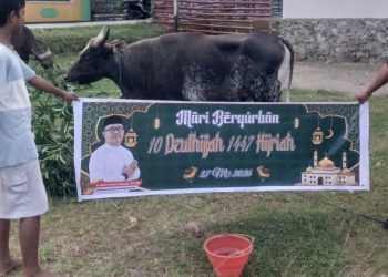 Plt Kepala BPJN Maluku Utara Serahkan Hewan Kurban, Warga Negeri Luhu Sampaikan Apresiasi