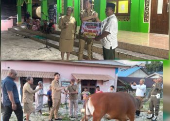 Bupati dan Wabup Tanimbar Serahkan Hewan Kurban Bantuan Presiden Prabowo untuk Umat Muslim Saumlaki