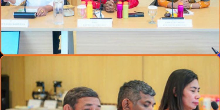 Bupati MBD Temui Menkes RI, Perjuangkan RSUD Tiakur Naik Tipe dan Penguatan Layanan Kesehatan Kepulauan