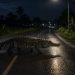 Teror Buaya Di Malam Hari, Warga Di Himbau Ekstra Waspada Saat Berkendara
